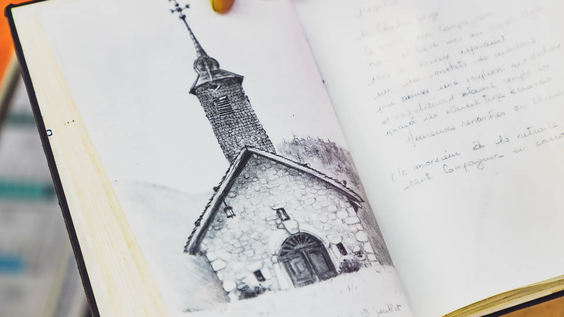 Croquis et aquarelle à thèmes en pleine nature : patrimoine, botanique, paysages, animaux