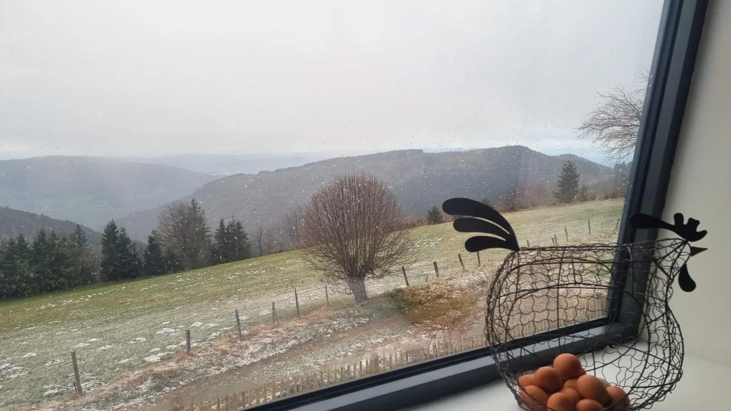 un bout de vue de la pièce principale