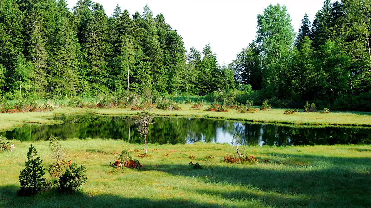 Réserve Naturelle Nationale du Luitel