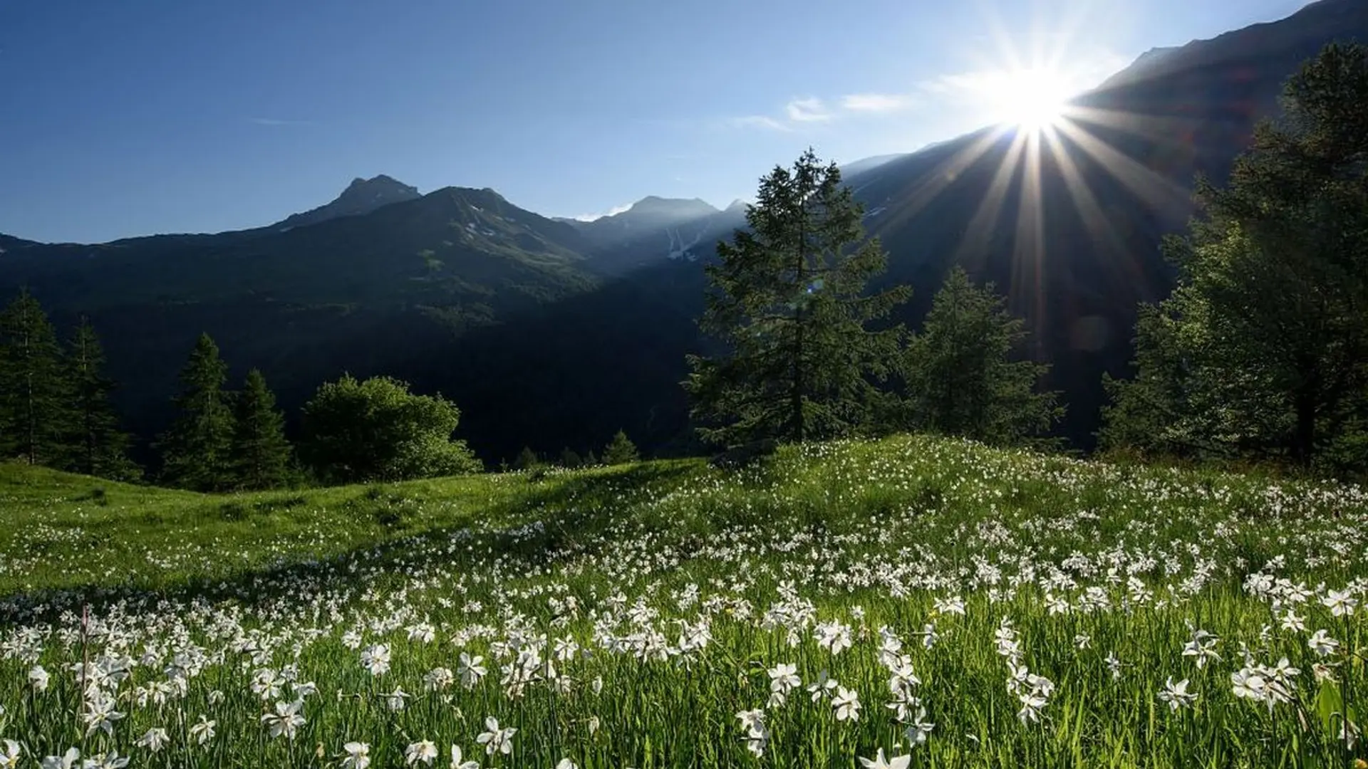 Sentier de l'Oussella