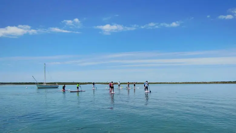 Stand up paddle à l'île de ré