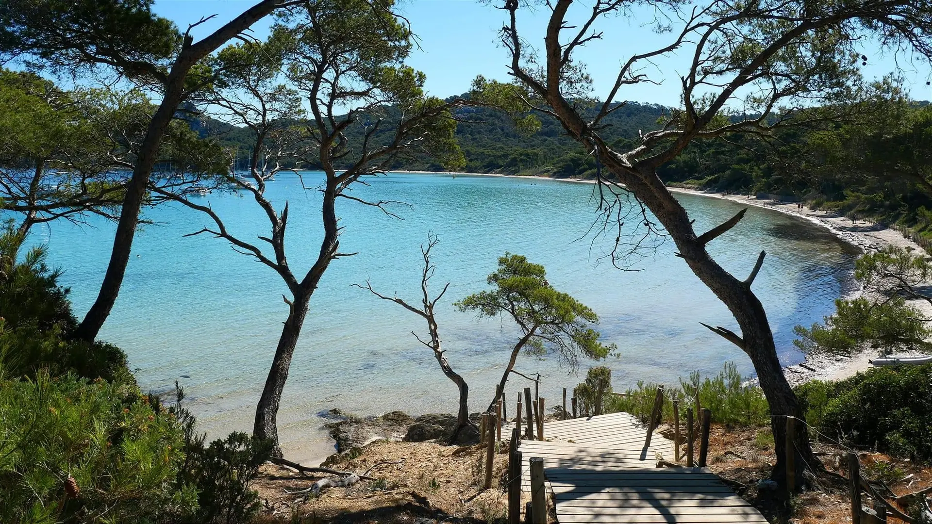 Île de Porquerolles