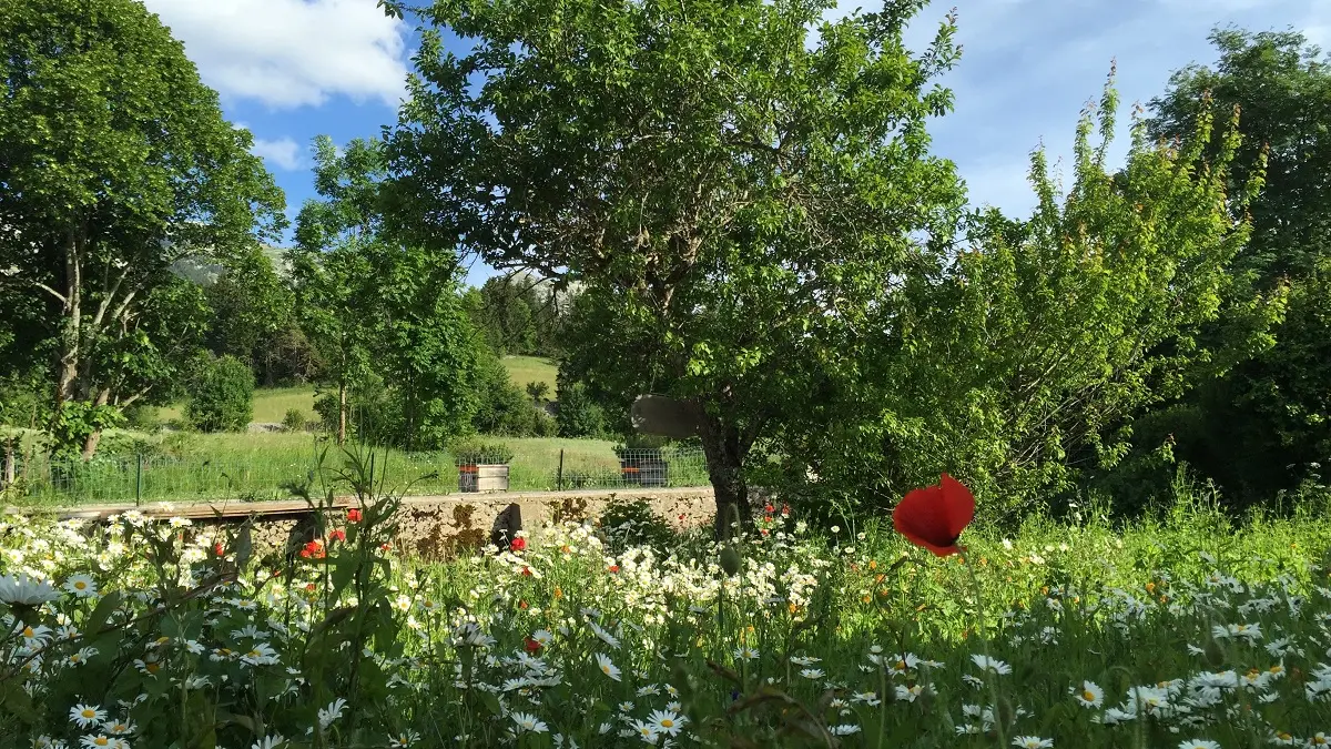 Jardin