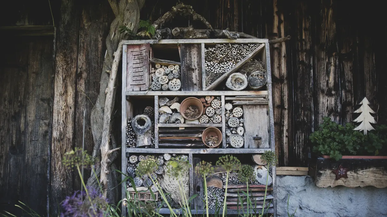 Jardins du Beule - Marignier