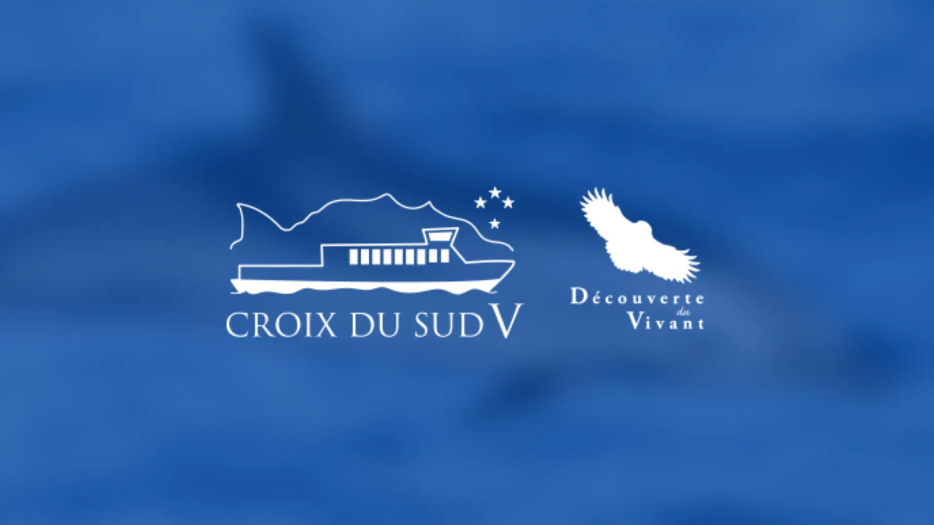 CROIX DU SUD V