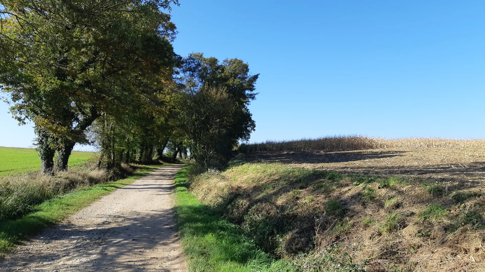 Circuit VTC-VTT n°4 (rouge) - La Voie Royale