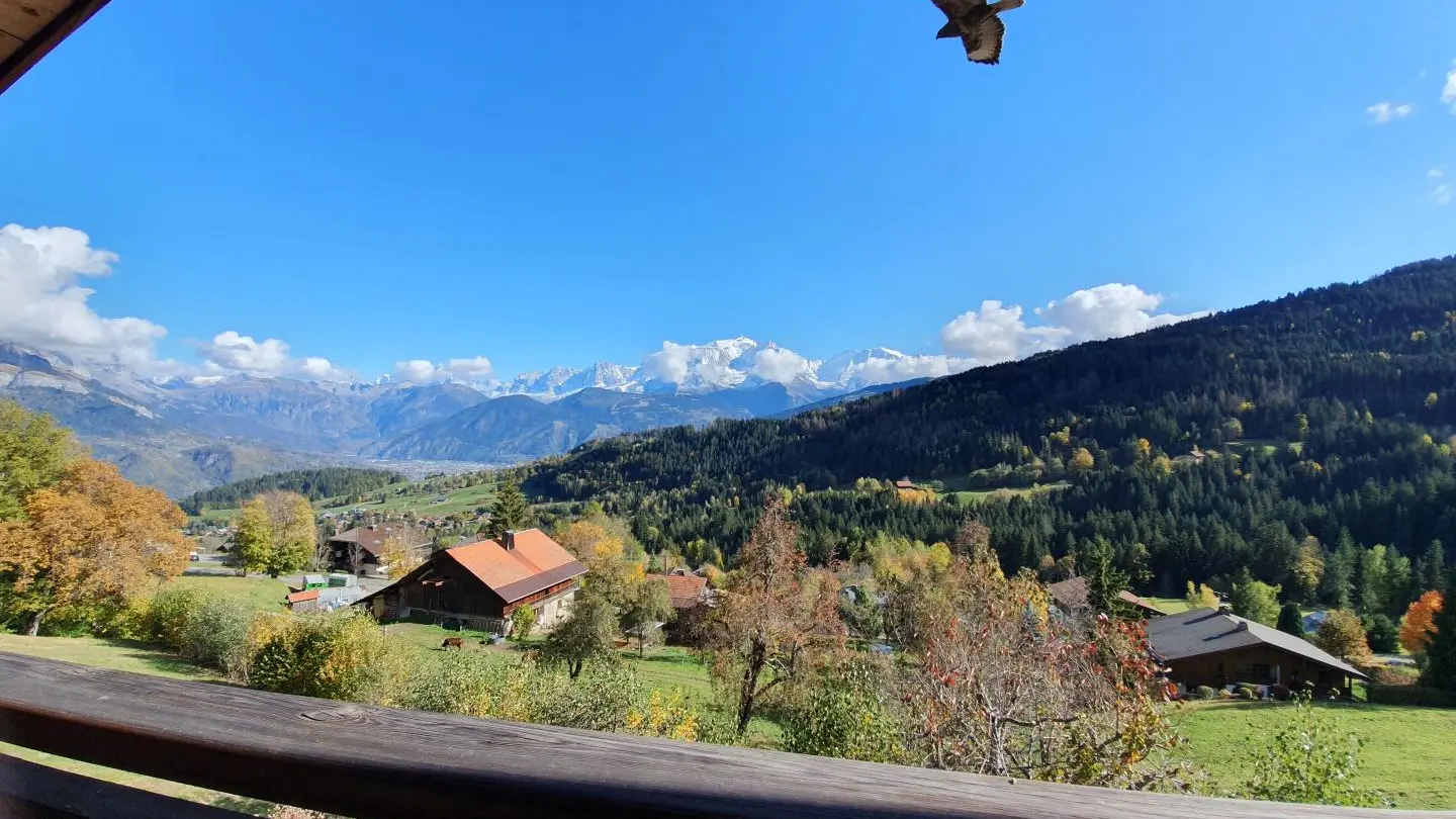 Un rapace s'est invité à la séance photo, vol majestueux devant l'objectif.