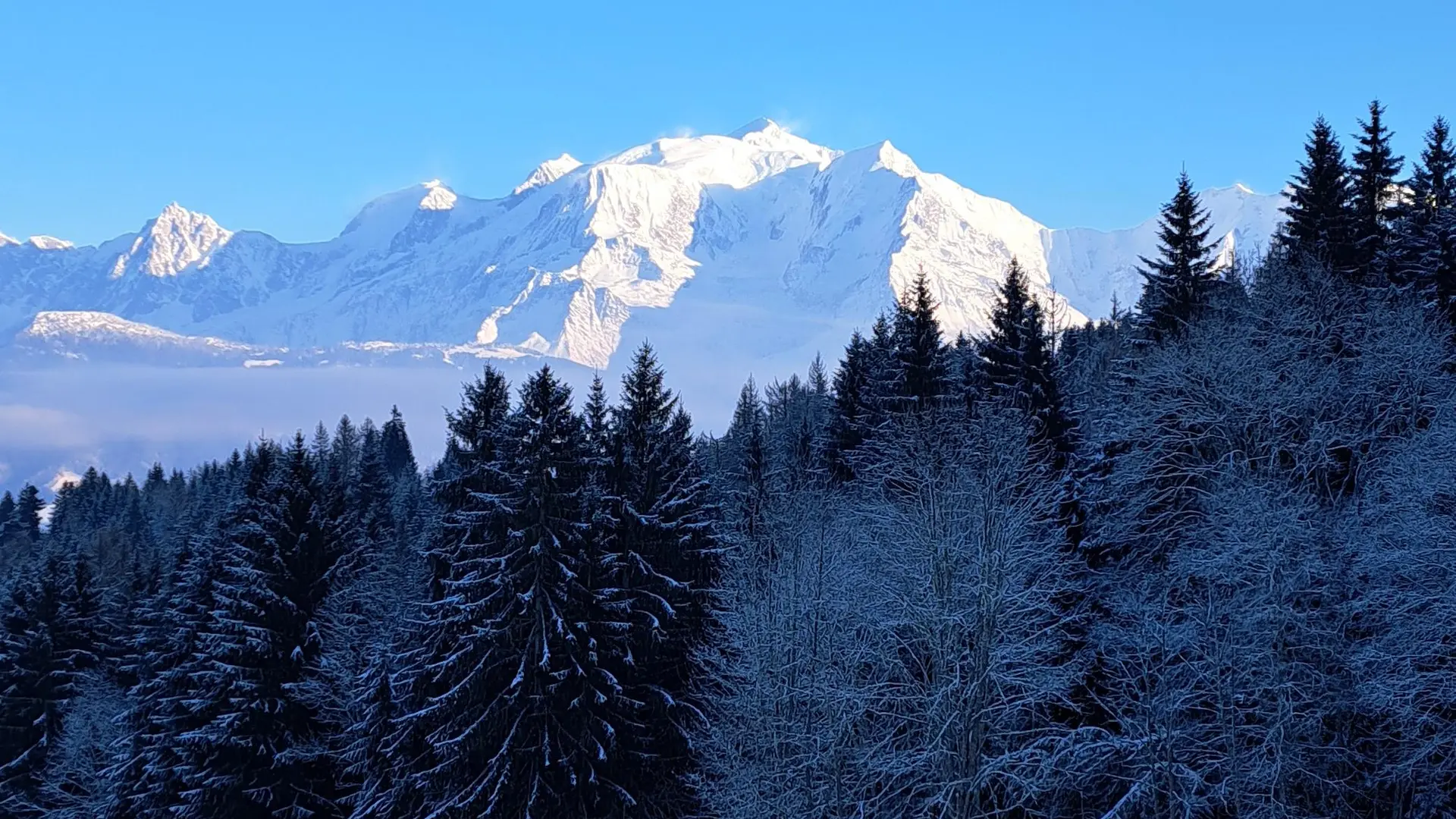 Vue du sentier sur le Mont-Blanc