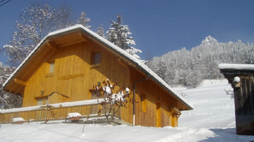 Derrière l'Edelweiss, départ de raquettes, jeux de luge, ou balades dans le calme de la nature enneigée...