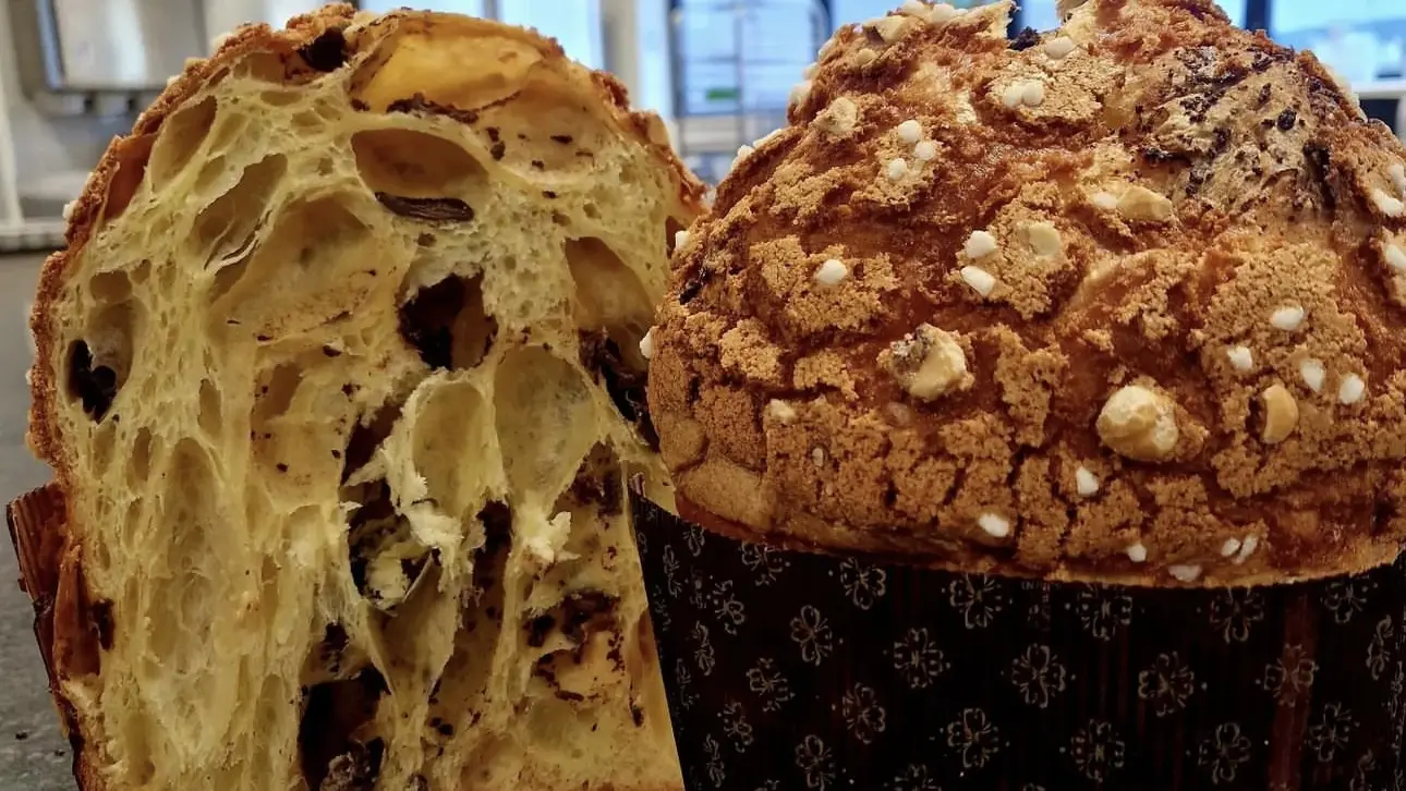 Pannetone