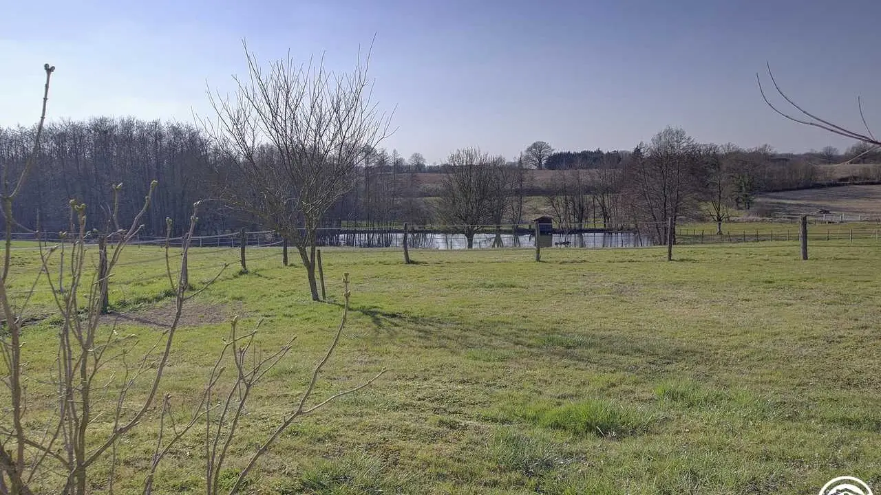 Depuis la cour, une jolie vue sur l'étang (non accessible).