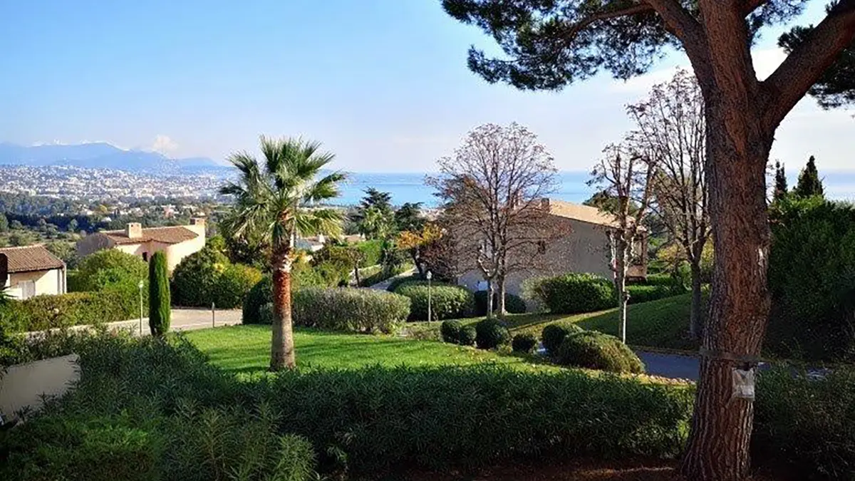 Vue de la terrasse