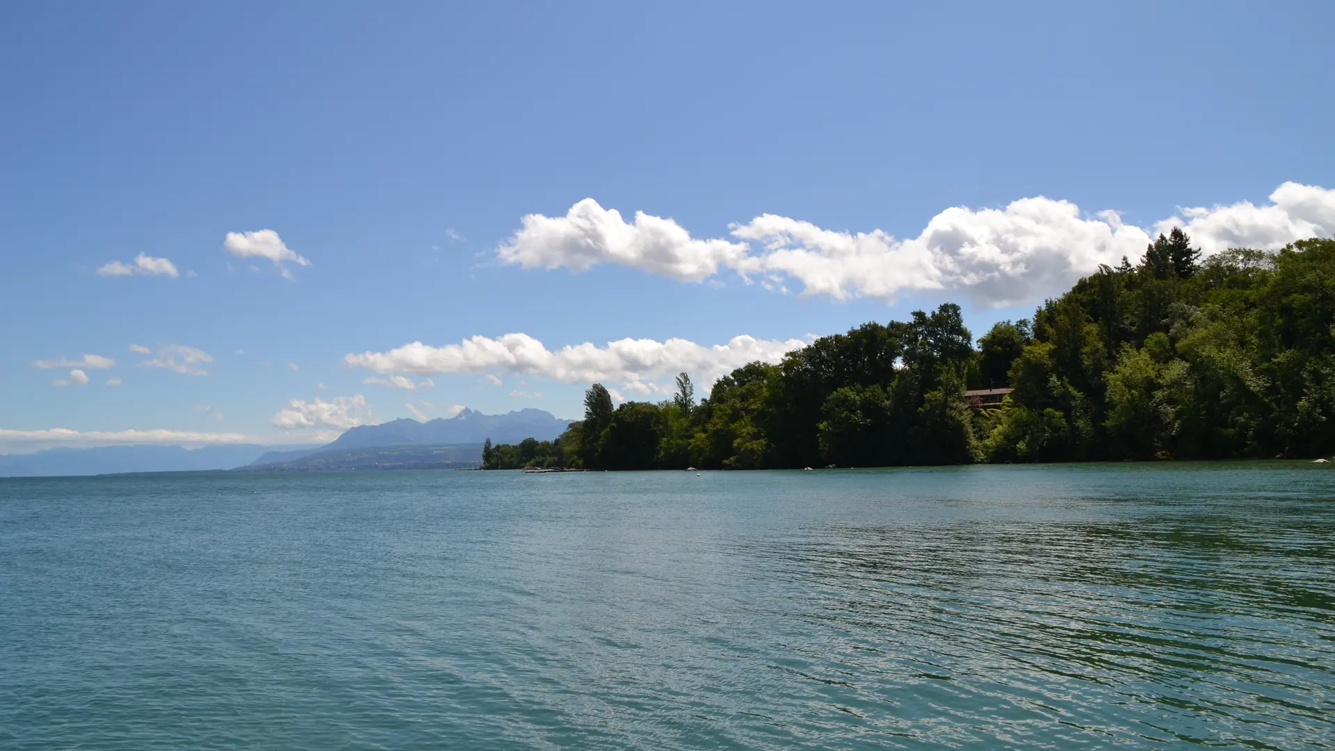 Vue du Port