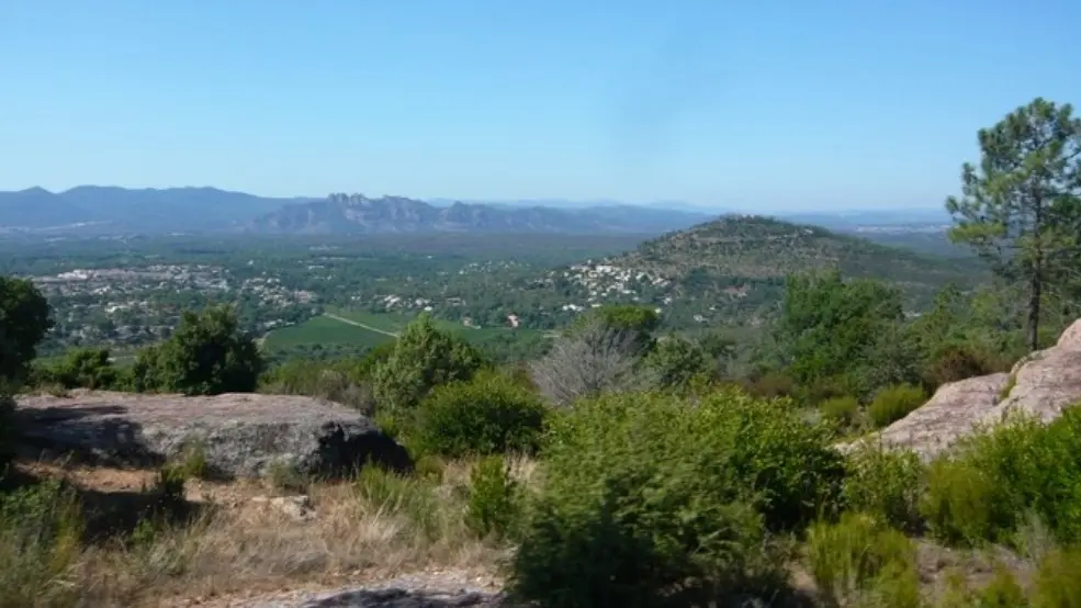 Panorama