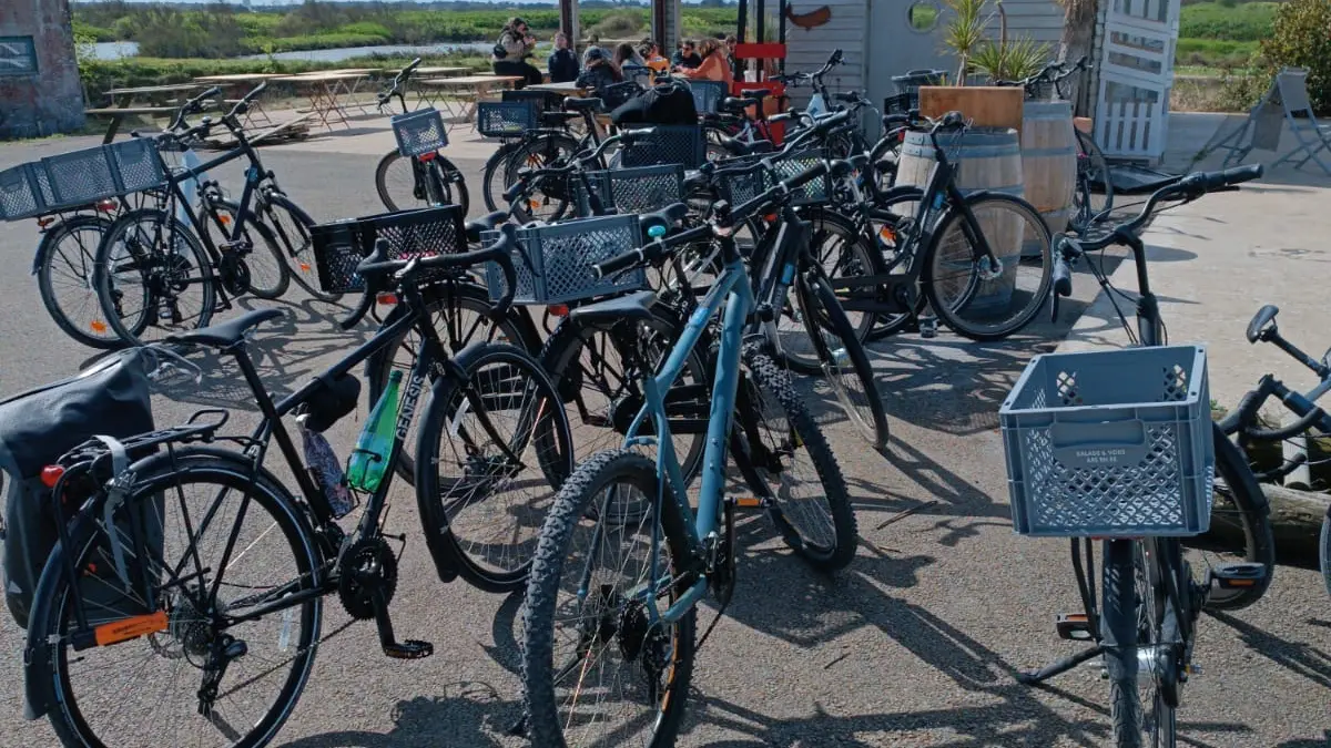 Venga en bicicleta para degustar frente a los pantanos