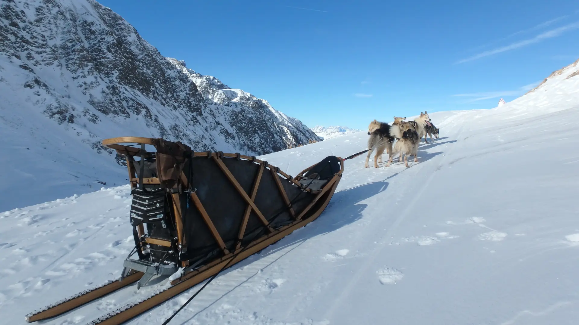 Meutmatah Chiens de traineaux - Leïla Venture_Molines-en-Queyras