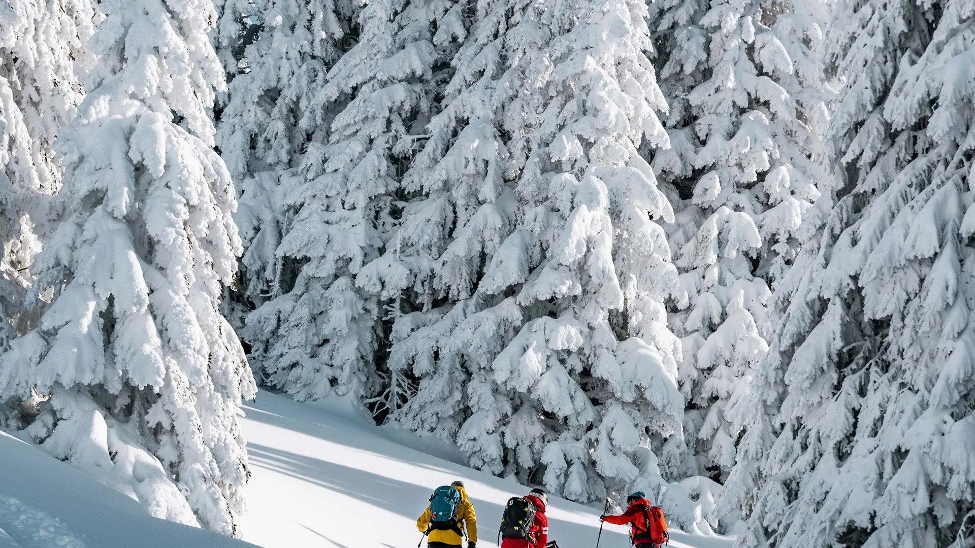 Itinéraire de ski rando Le Morclan