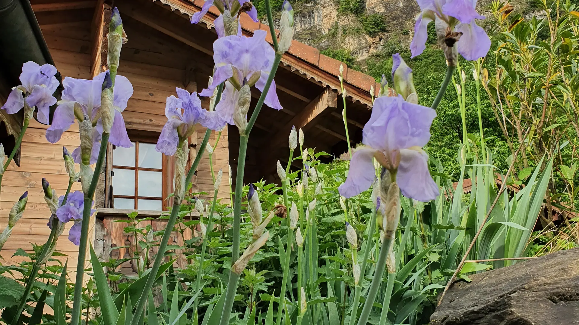 Hôtel le Relais du Mont Blanc