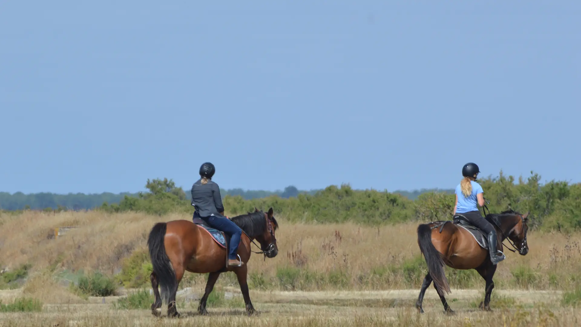 Balade à cheval dans les marais salants de Loix