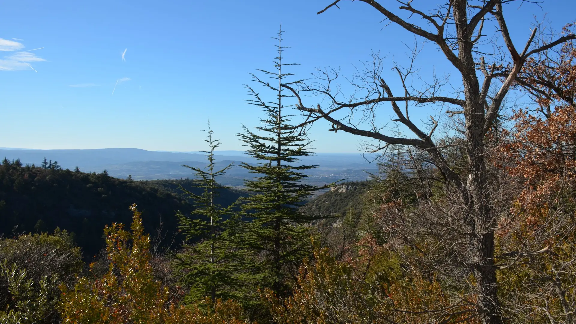 Vue sur les Monts de Vaucluse