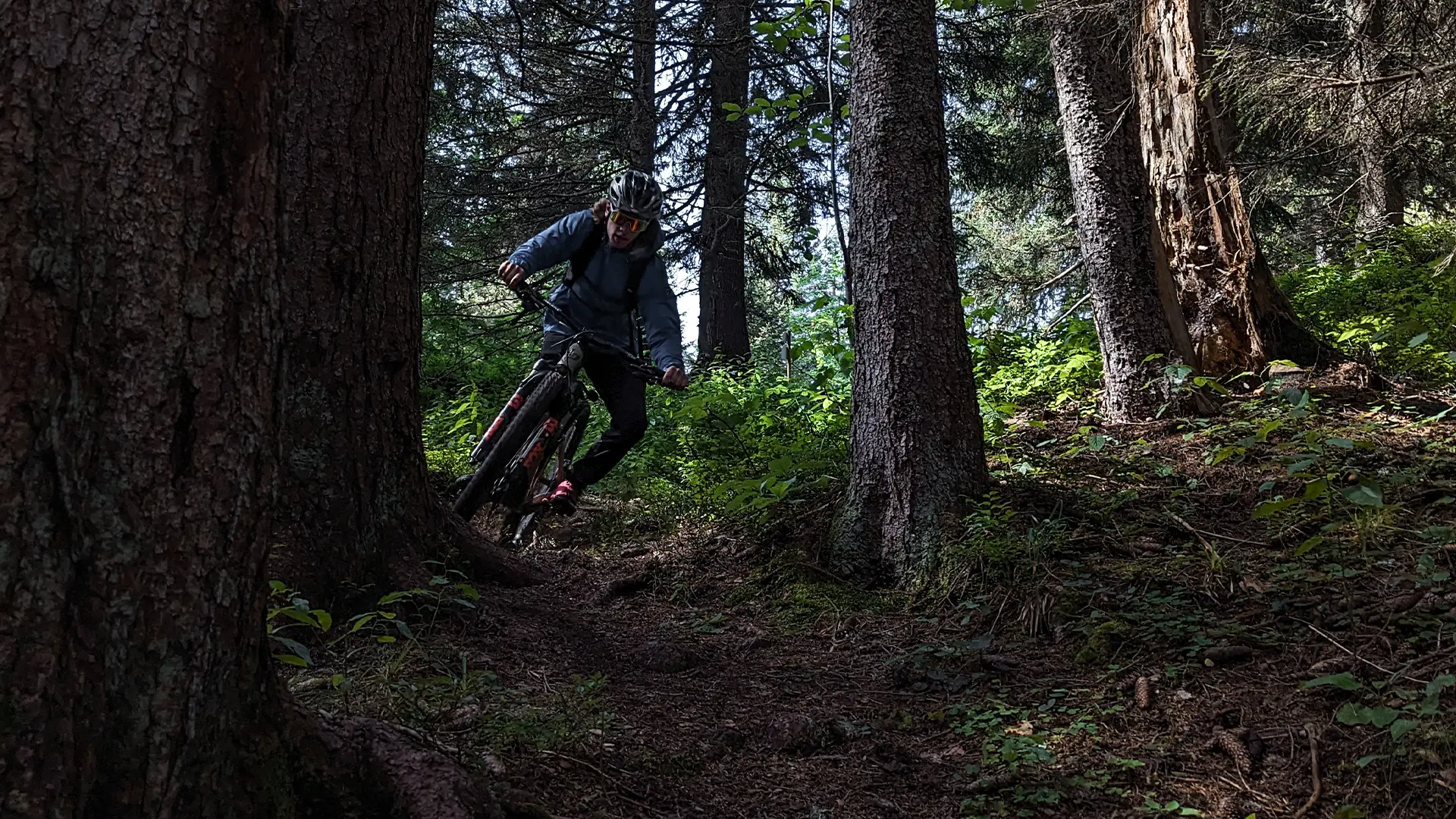 Piste verte descendante Renardeau_Manigod