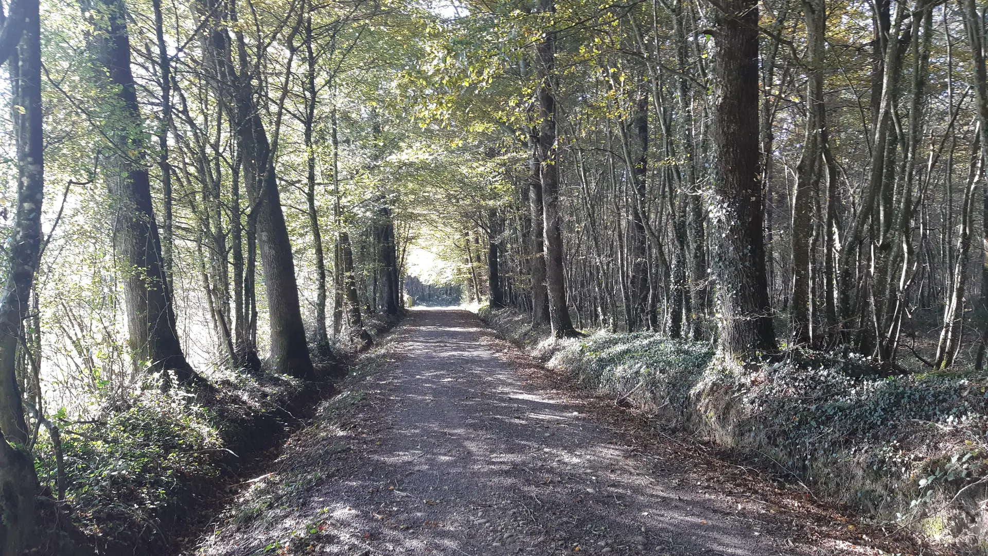 Circuit VTC-VTT n°4 (rouge) - La Voie Royale