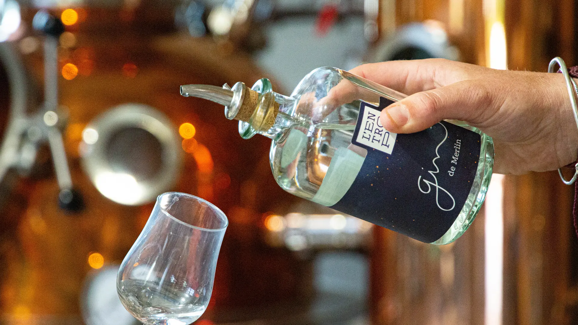 Gin de Merlin