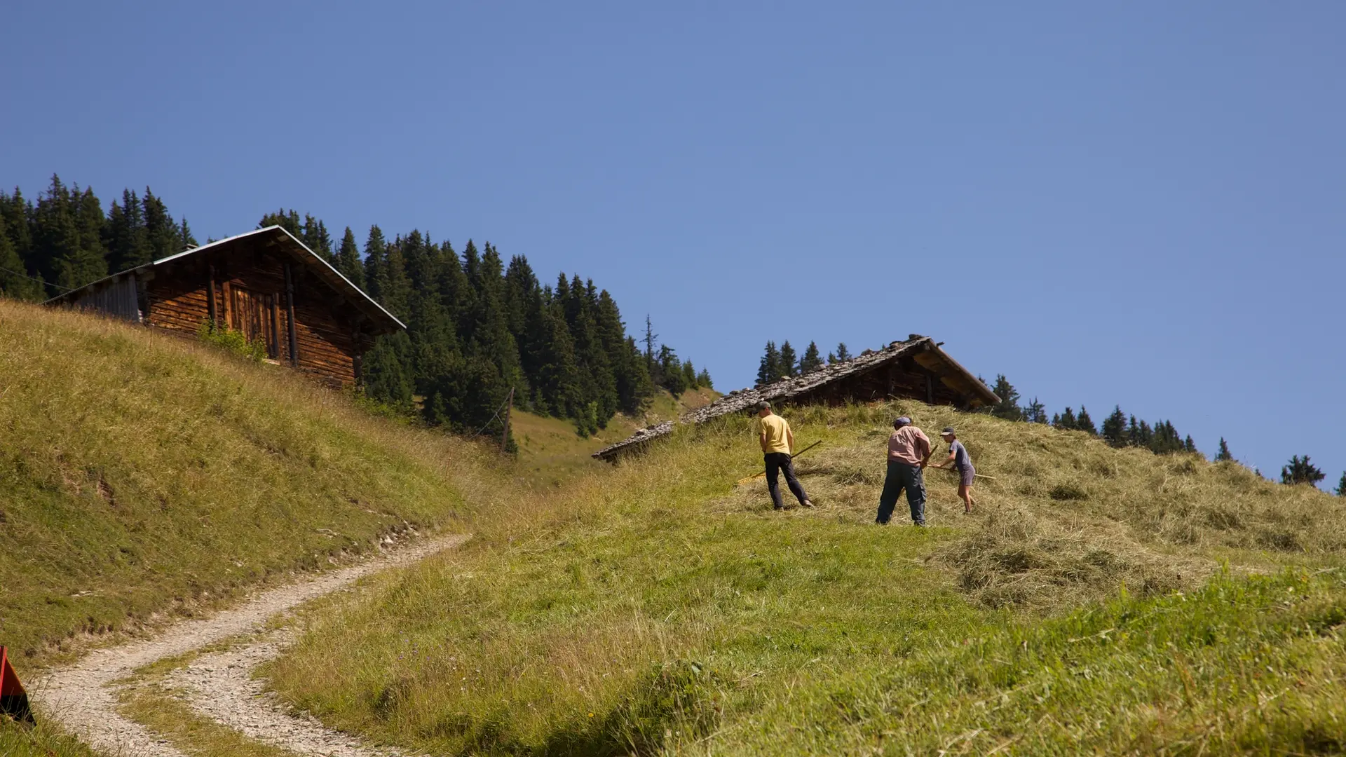 Montée des Pachons