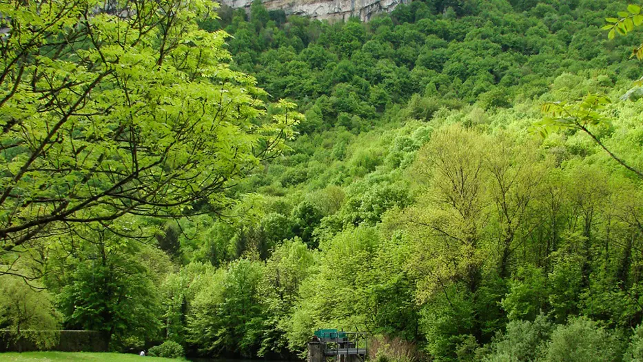 La vallée de l'Albarine