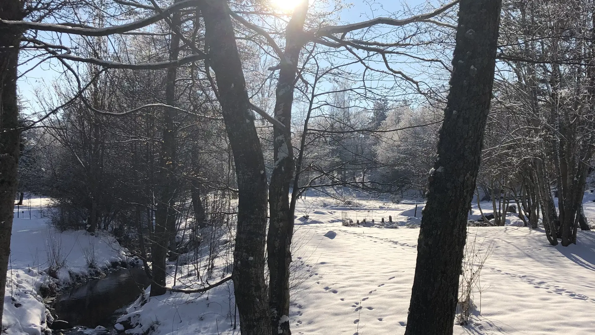 Le jardin sous la neige