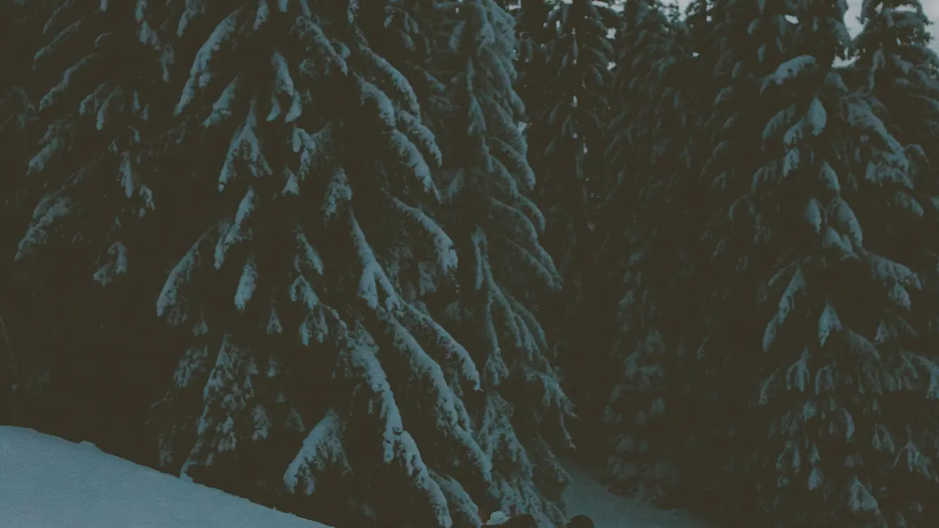 Ski de randonnée ESF Morzine