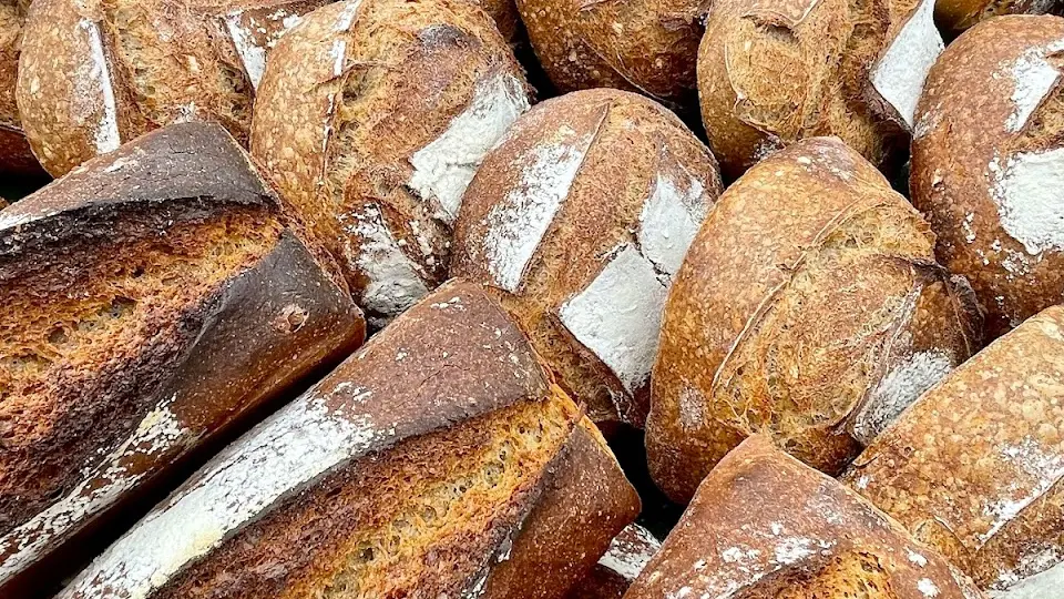 Brote aus lokalen Bio-Mehlsorten von Céréales du Littoral