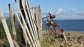 Bike ride