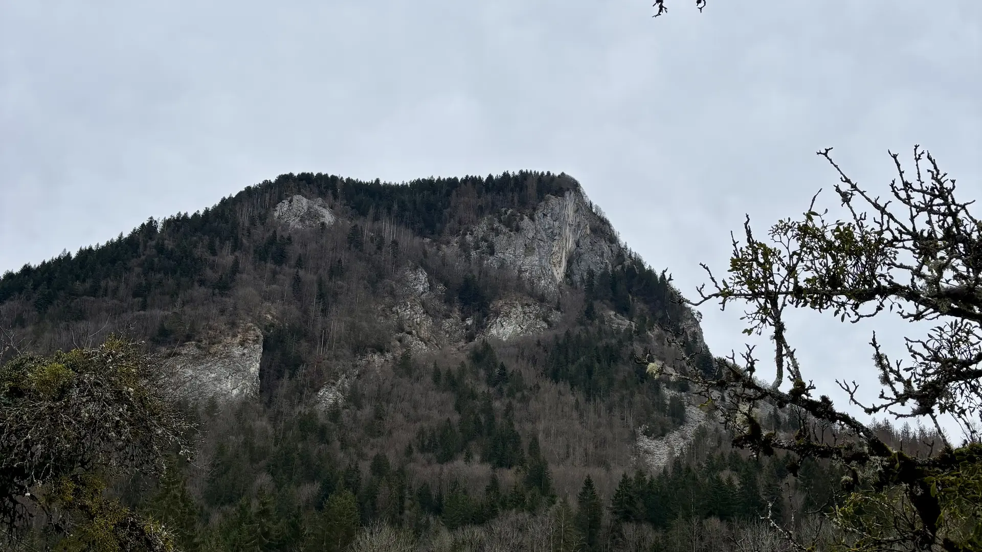 Paysage