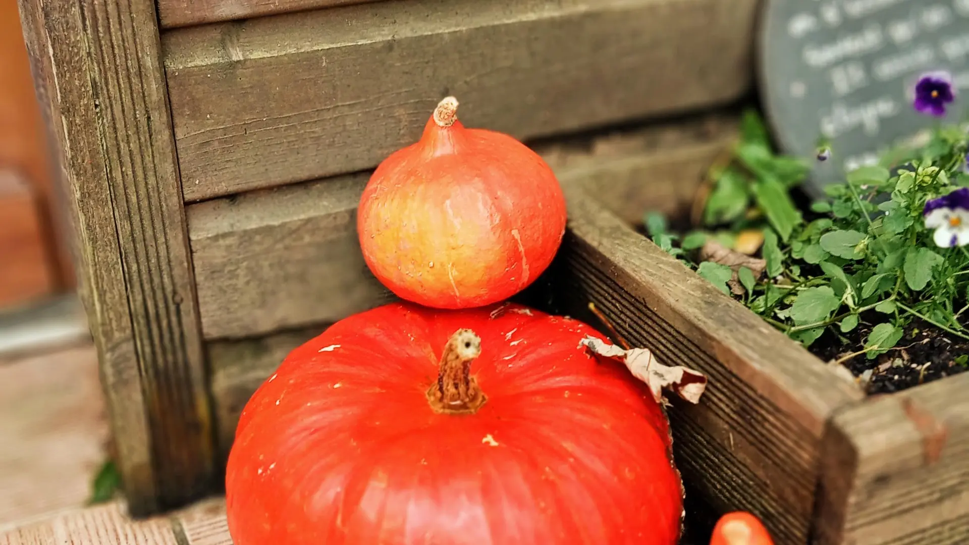 Décoration d'automne