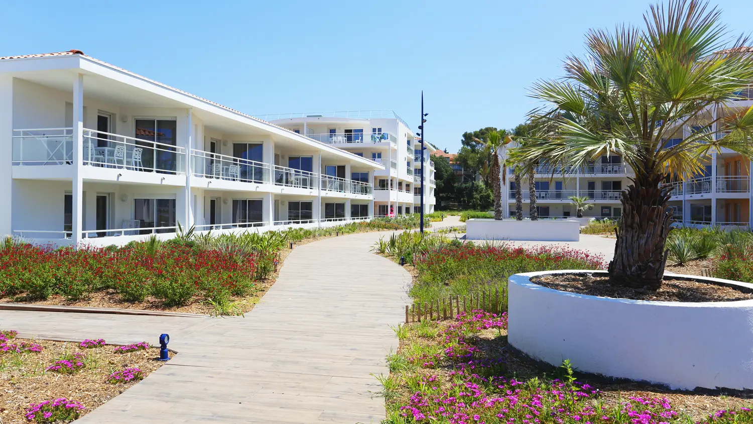 Pin Rolland - St Mandrier sur mer