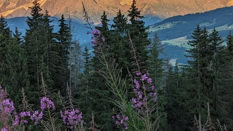 Trop beau couché de soleil !!!