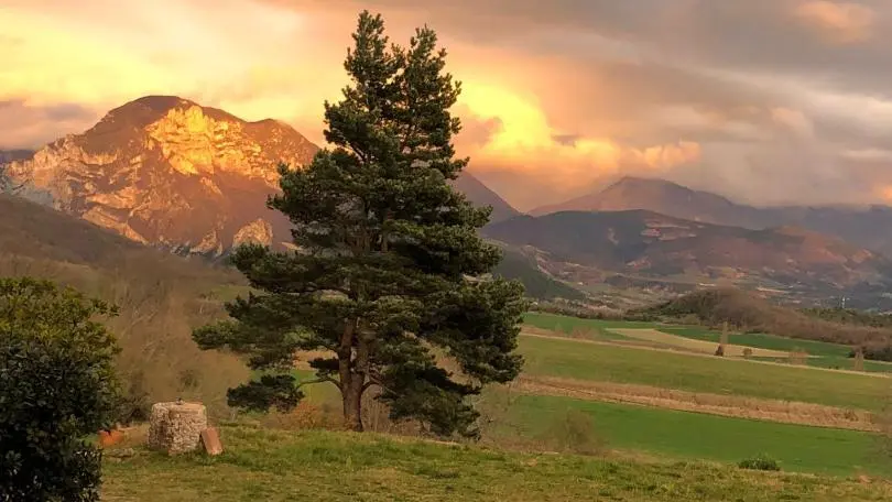 La vue depuis la propriété