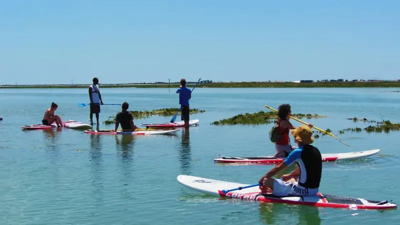 Stand up paddle