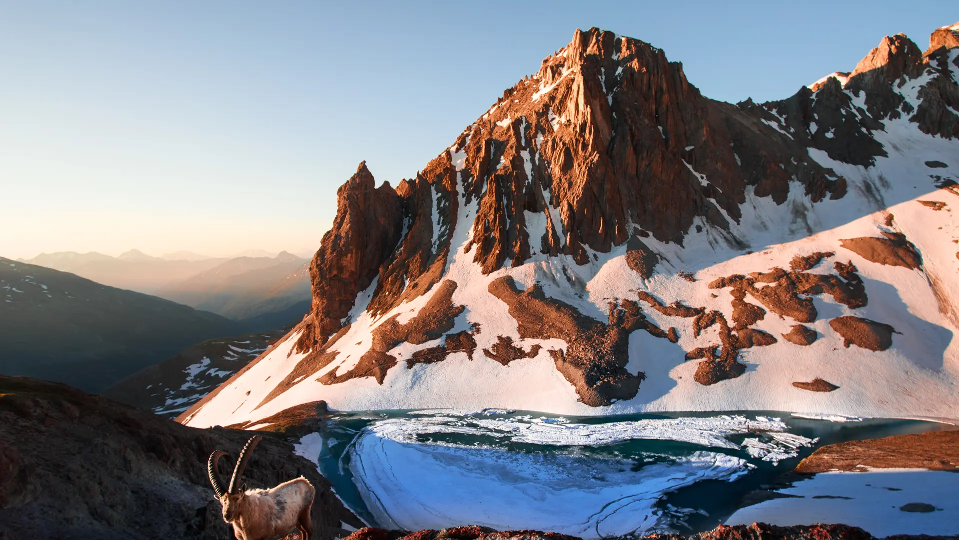 bouquetin randonnée sentier famille