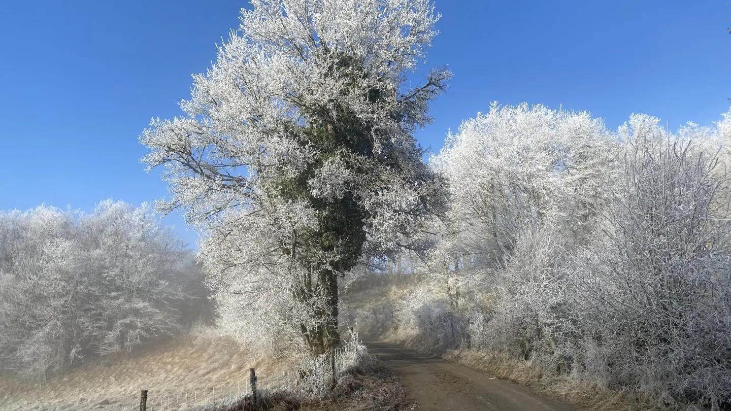 Le givre magique