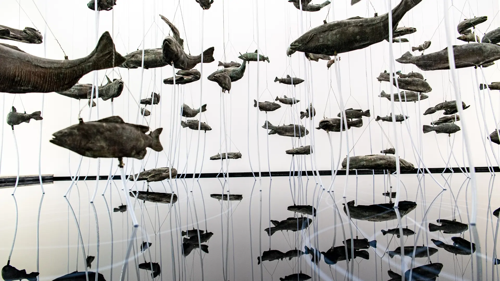 Bruce Nauman, One Hundred Fish Fountain, 2005 Bronze, acier et metal 76,2 X 85,3 X 0,2 m