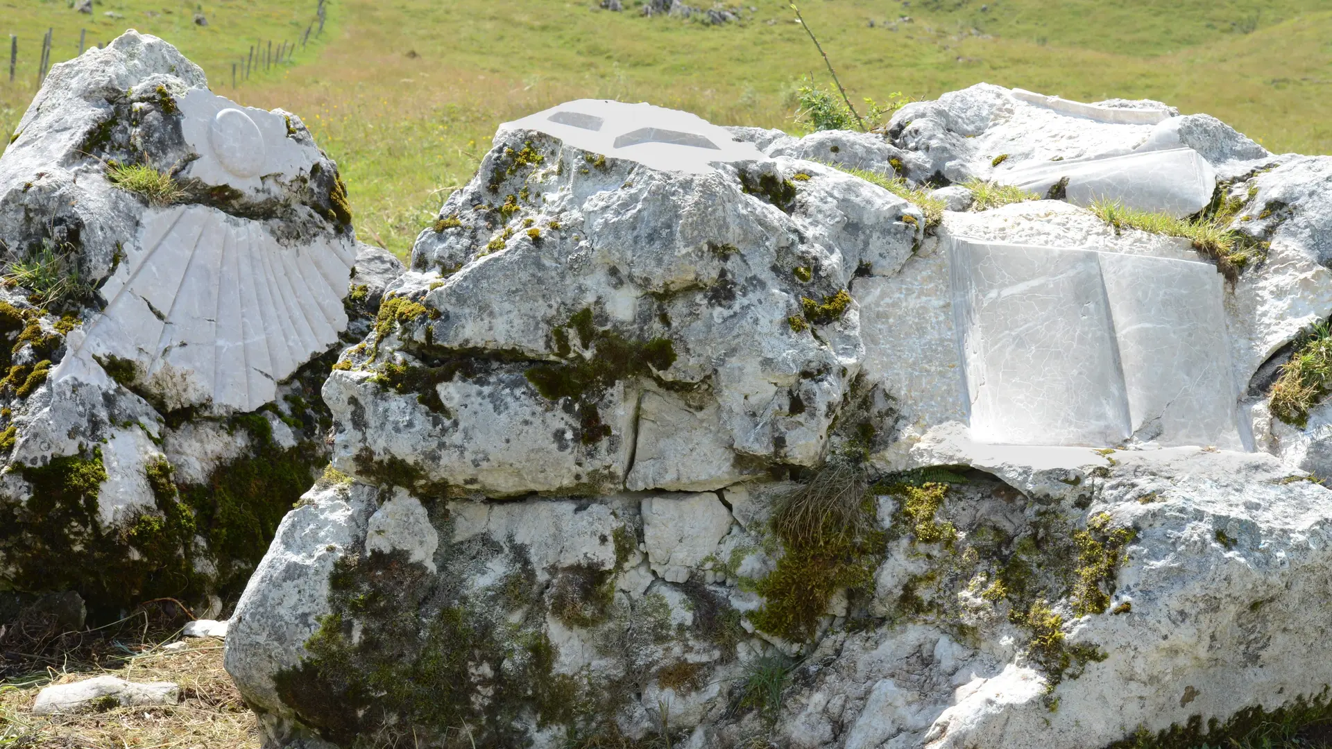 Symposium de sculpture_Plaine-Joux