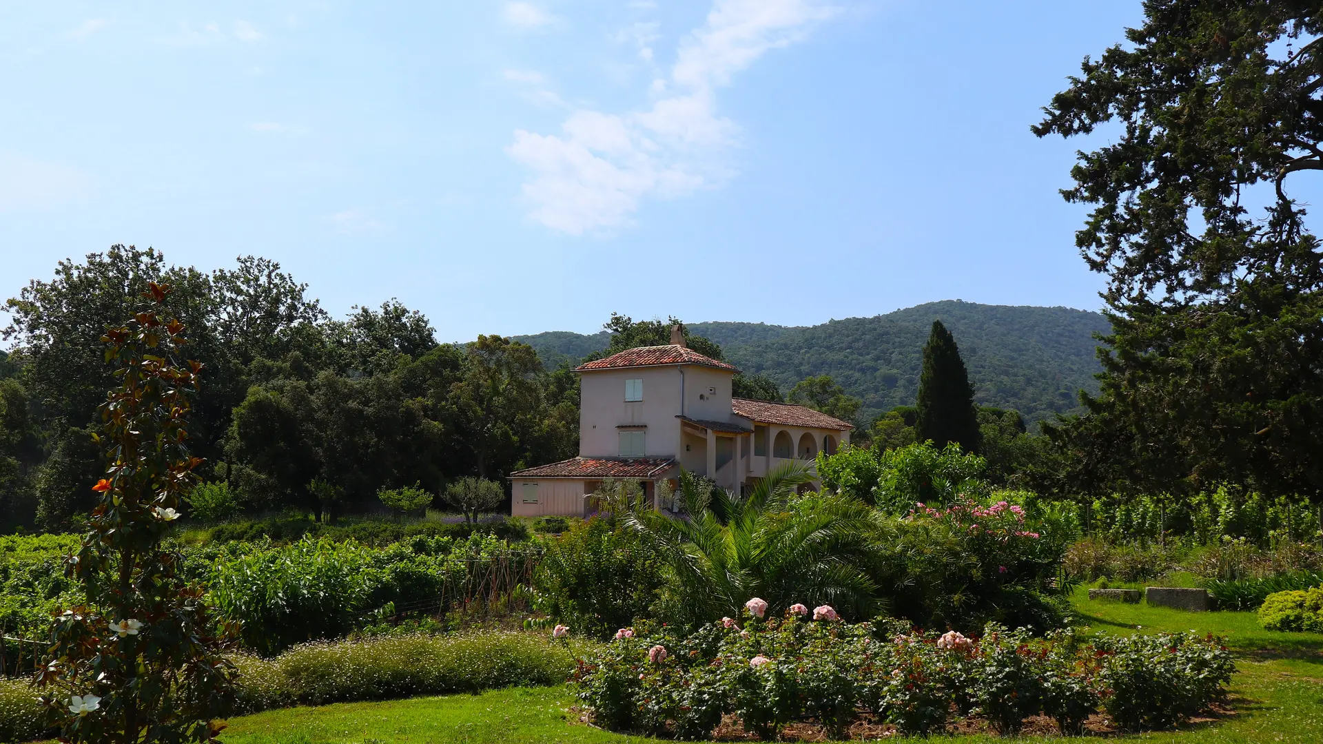 Au château Barbeyrolles à Gassin - https://gassin.eu