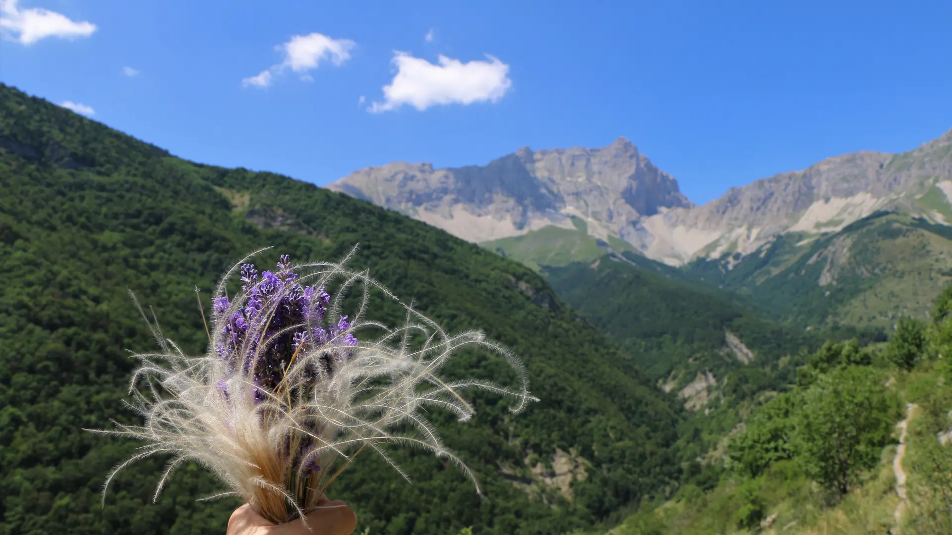 Le sentier des bancs