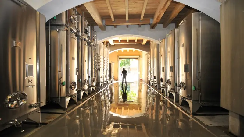 Cave de vinification