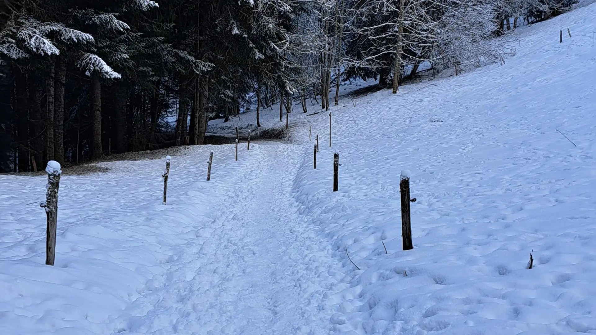 Sentier de départ depuis le parking