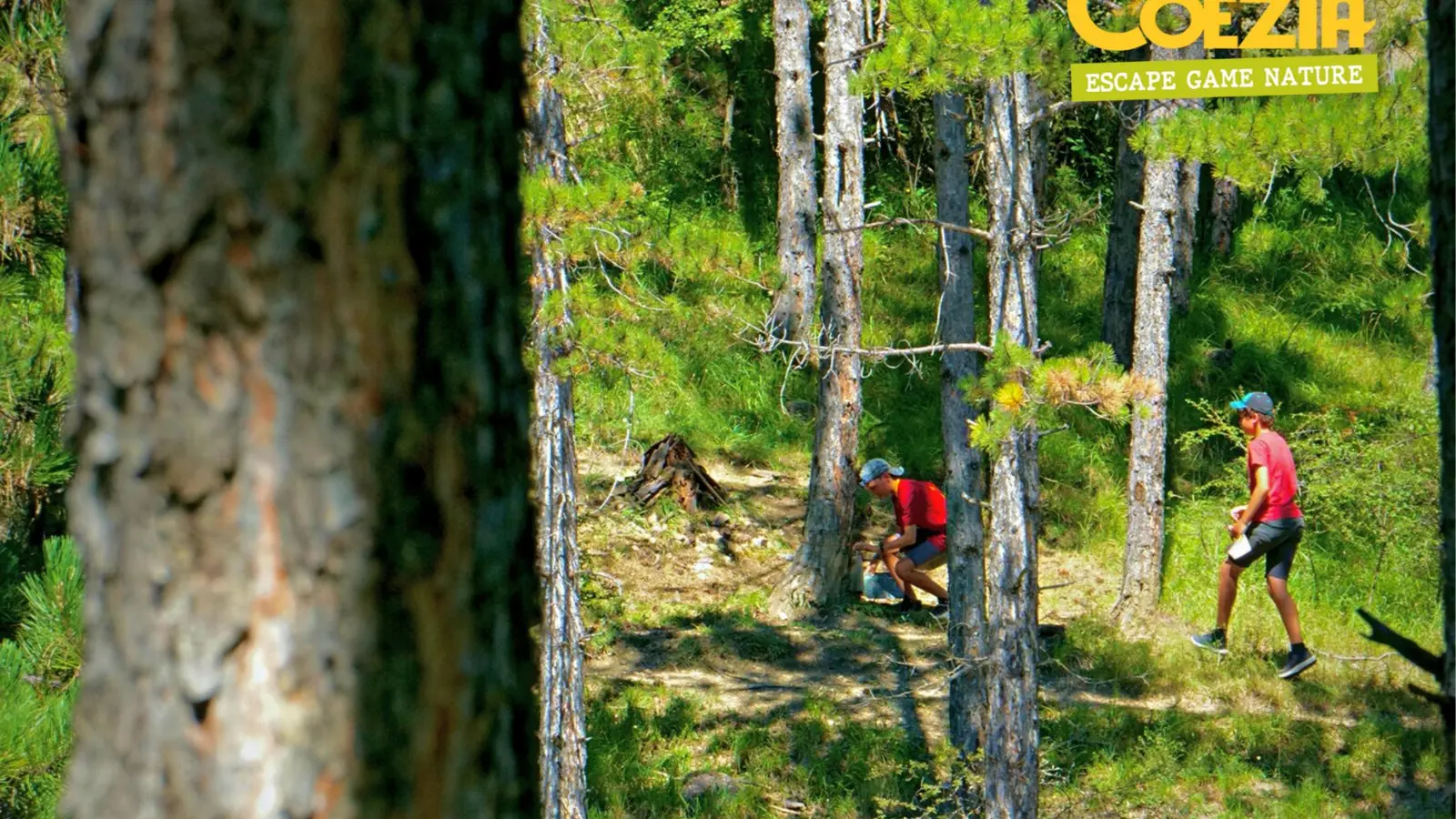 Coezia - Escape Game Nature EMBRUN