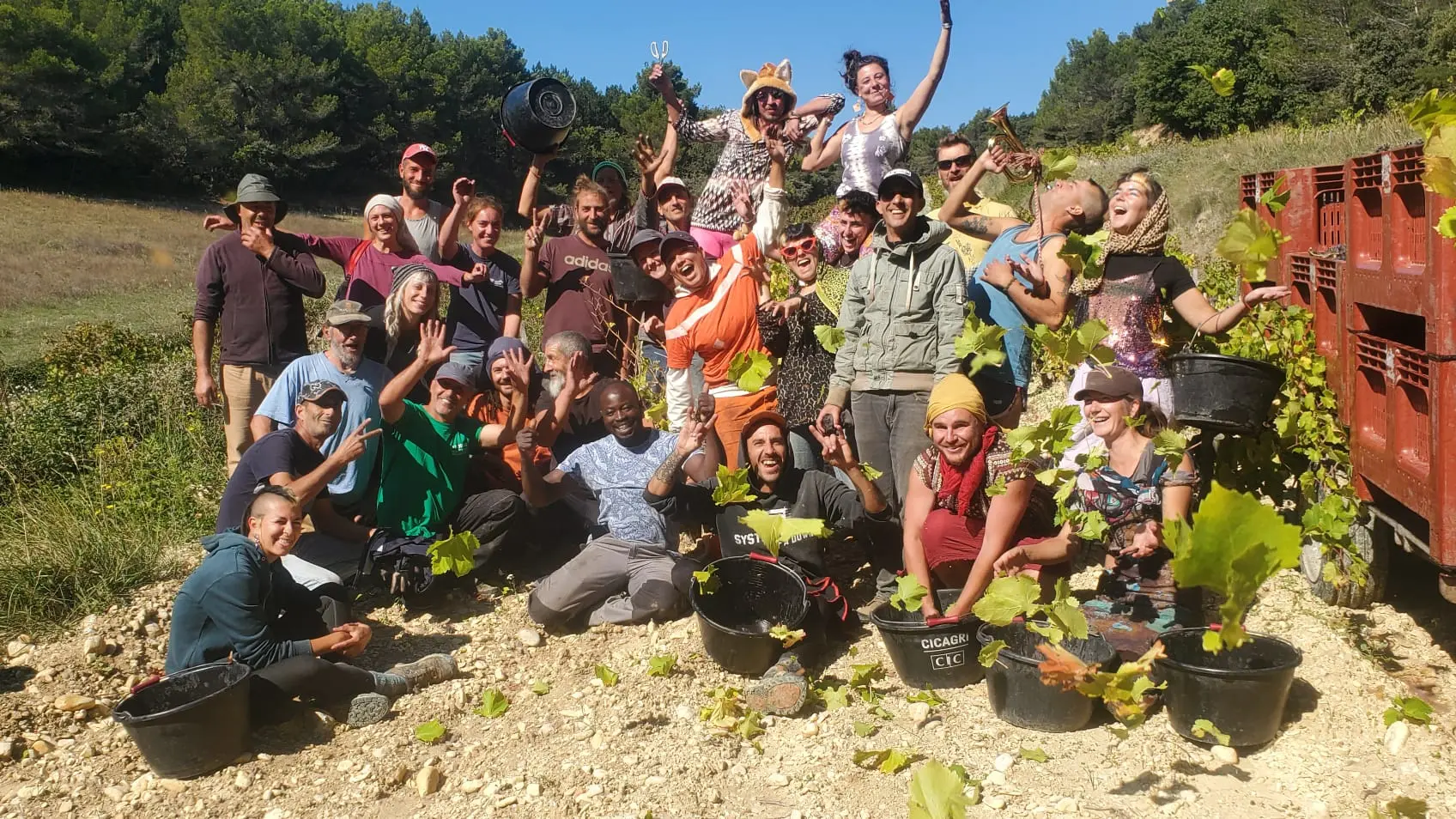 Vendange = une équipe au top indispensable