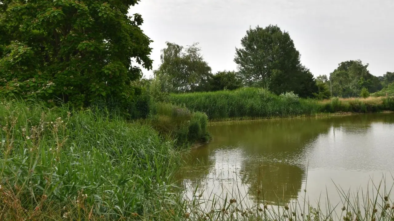 Saint Nizier le Désert